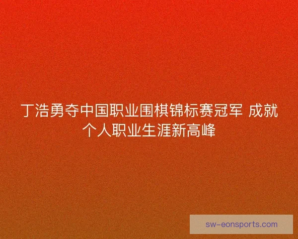 丁浩勇夺中国职业围棋锦标赛冠军 成就个人职业生涯新高峰
